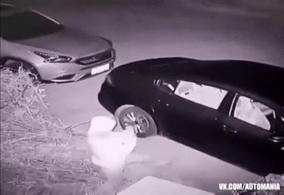 karma,ladron,coche,piedra