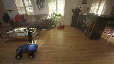 gato,liarla,solo,casa,coche