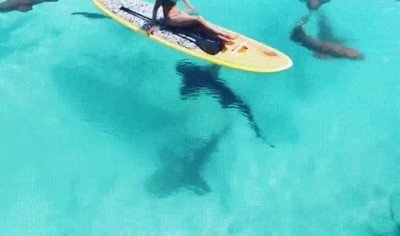 Enlace a Te pasas el año esperando que lleguen las vacaciones y de repente la lías 