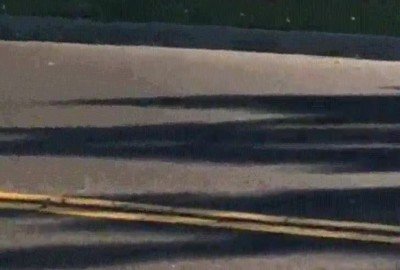 perro,ganas,amigo,muro