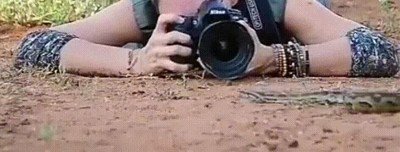 fotografo,animales,serpiente,divertido