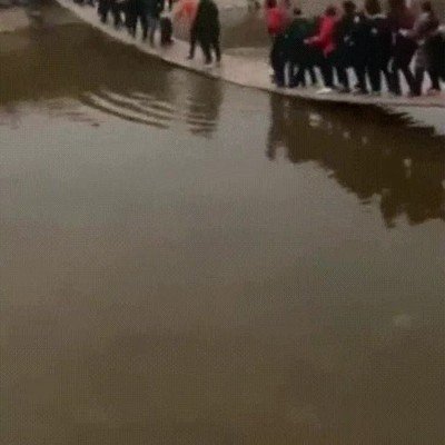 sorpresa,puente,saltar,agua