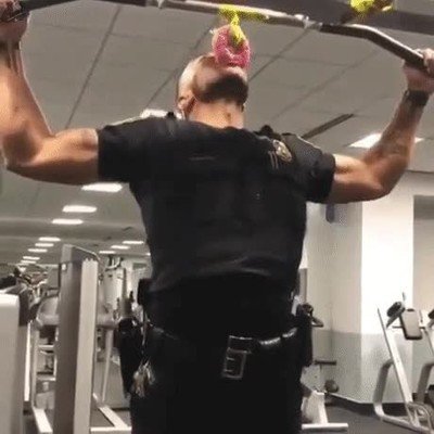 esfuerzo,recompensa,dominada,comer