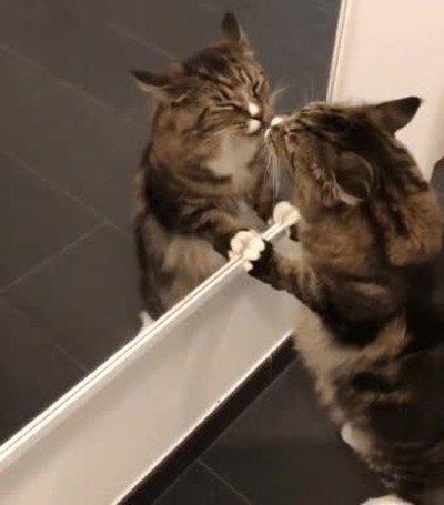 Enlace a Recuerda quererte a ti mismo. Es importante