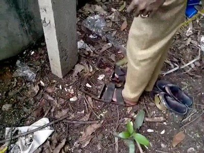 truco,escalar,postes,gato