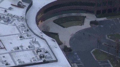 patrulla,canina,velocidad,luz,detener,sospechoso