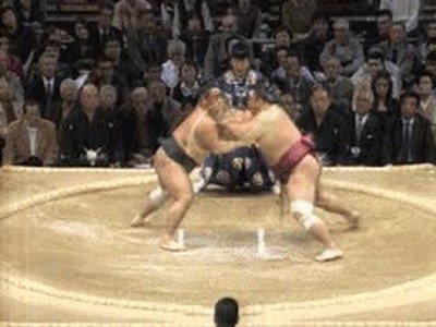 peleas,sumo,epicas,efectos