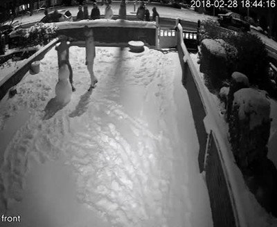 Enlace a Descansa en paz señor muñeco de nieve