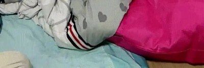 gatos,aprender,abrir,puerta,escapar