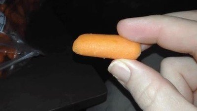 Cuando sacas algo de comida en casa y tu perro activa el modo láser comida,casa,perro,laser