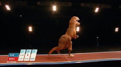 Enlace a Ojalá algún día veamos unas Olimpiadas de T-rex 