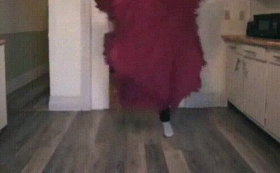 pedir,relacion,pareja,baile