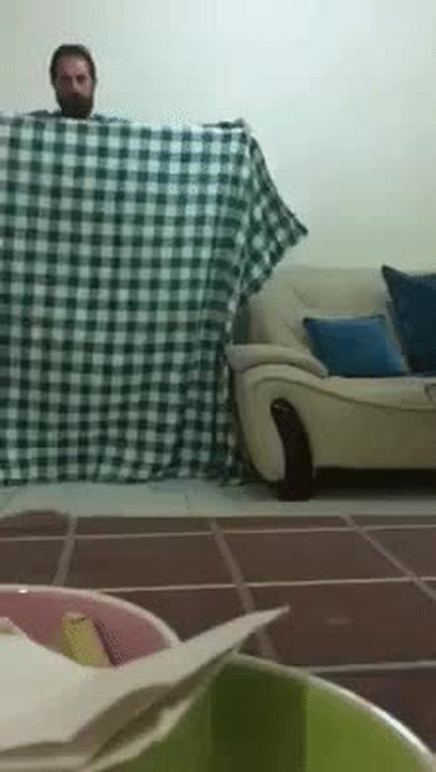 Enlace a ¿Cuánco van a dejar de intentar este estúpido truco?