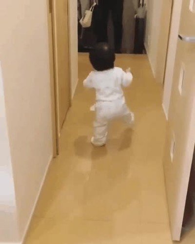 llegar,casa,amor,vida