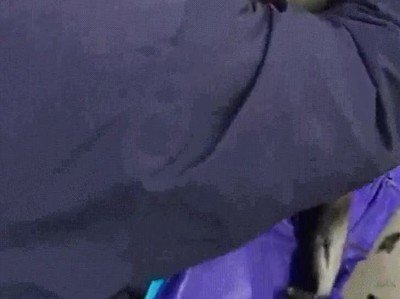 Enlace a Foca super cariñosa después de ver a su cuidadora