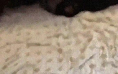 por favor,cinco minutos,perro,buenos dias