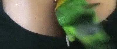 buscar,postura,comoda,dormir