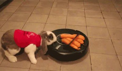 Enlace a Los juegos del hambre utilizando una roomba y un conejo