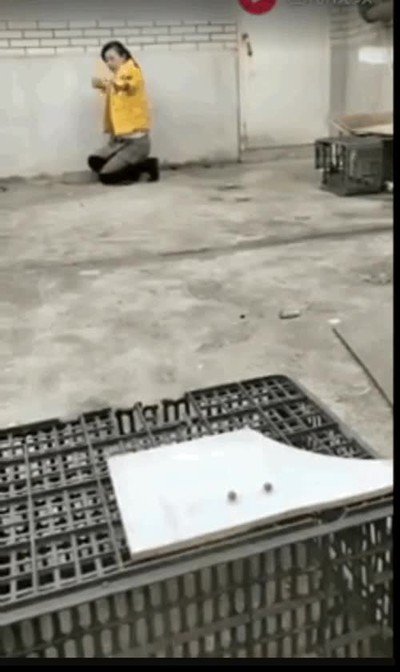 profesional,lanzamiento,tirachinas