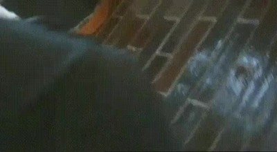 bebe,nacer,ritmo,venas,bailar