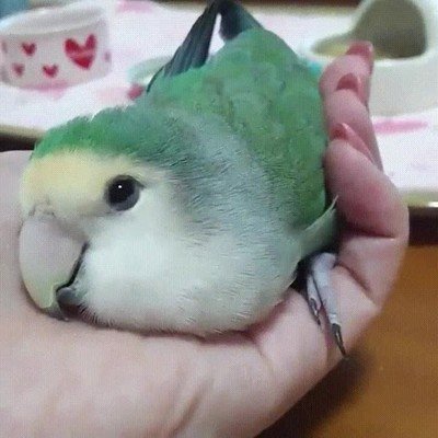 cara,clase,quedar,dormido