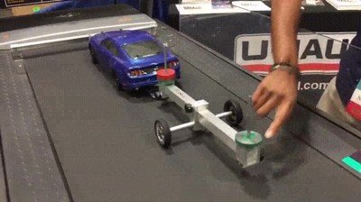 importancia,distribución,peso