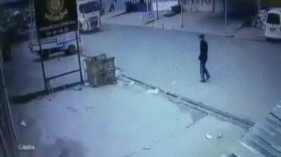 hombre,salvar,vida,perro