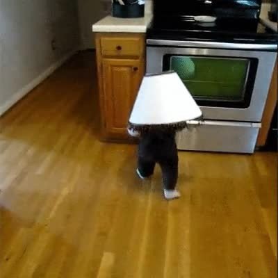 l&aacute;mpara,herida,video