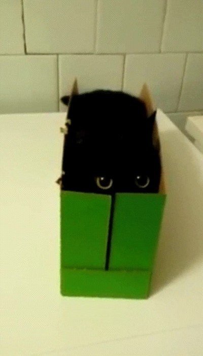 ojos,grandes,imposible,esconderse