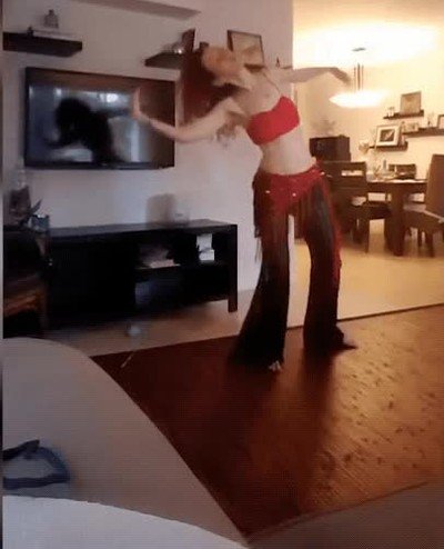 amigos,gato,baile,pasarlo bien