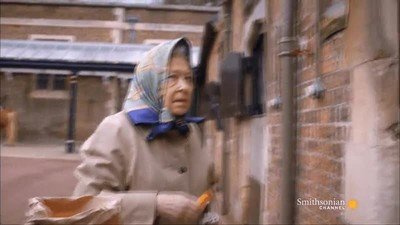 cara,felicidad,reina,Isabel II,comer,caballos