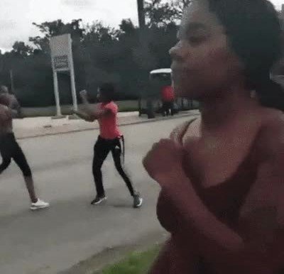 Enlace a ¿Habías escuchado hablar del efecto mariposa? 