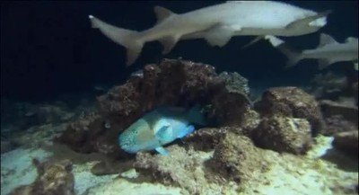 dinero,encima,barrio,equivocado