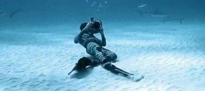 enormes,fotos,tiburon