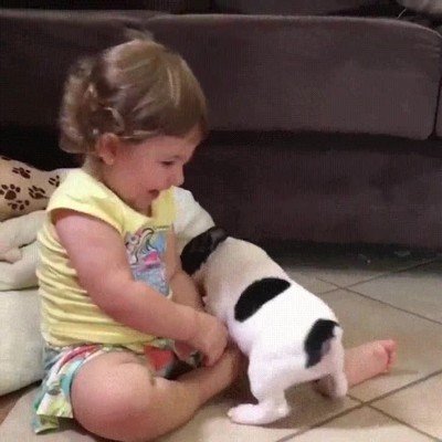 adorable,cachorro,perro,humano