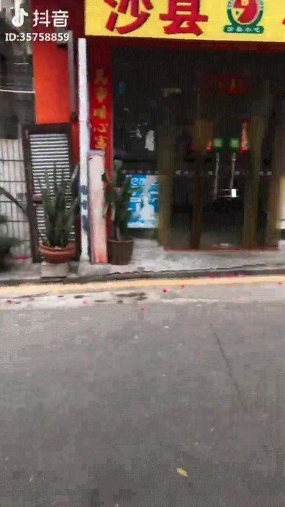 ciudades,edificios,flores,plantas