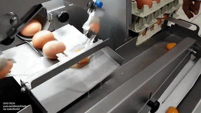 inventar,maquina,romper,huevos