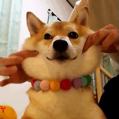 vista,abuela,cara,mofletes