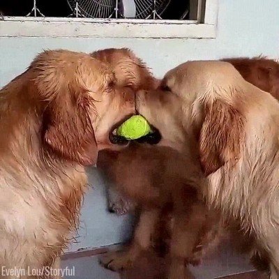Enlace a Parece un buen lugar para descansar la cabeza