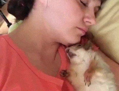 ardilla,despertar,violento