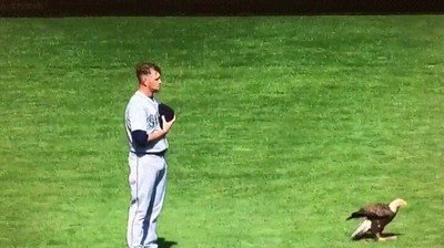 Águilas que intentan minar la moral a los jugadores del equipo contrario James Paxtons,twins,mariners