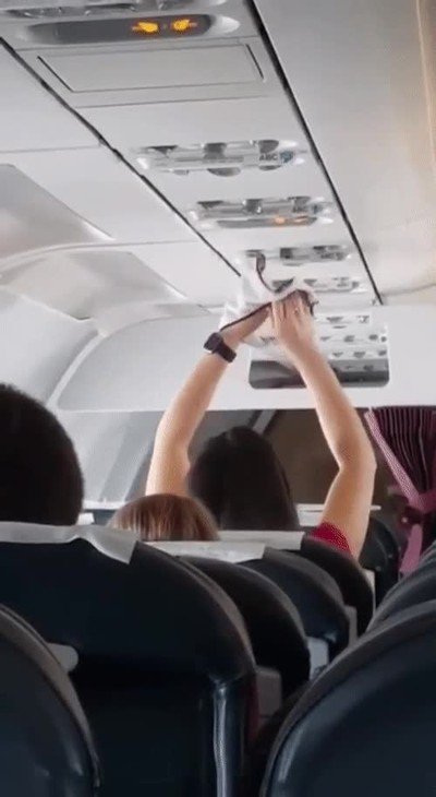 gente,verguenza,avion,bragas