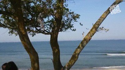 salto,&aacute;rbol,cuerda,fail