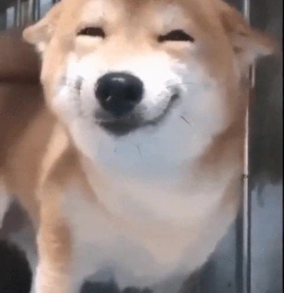 cara,persona,gustar,tomar,algo