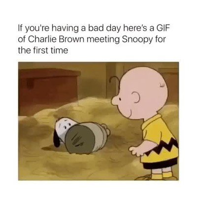 Enlace a Si estás teniendo un mal día aquí tienes un GIF de Charlie Brown conociendo a Snoopy