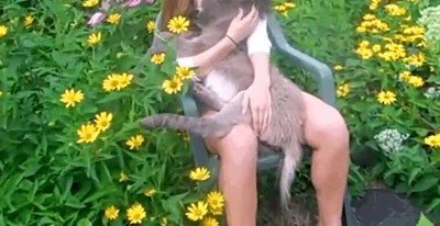 paraiso,algo,parecido,jardin,mimos