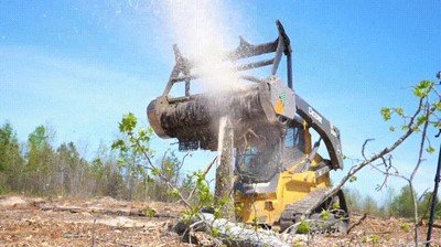 bestia,arbol,maquina,nevar