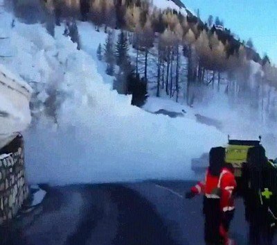 avalancha,bestia,carretera