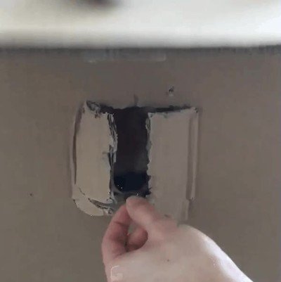 oler,premios,perro,caja