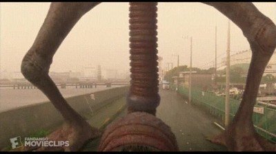 pelea,bizarra,ultimamente